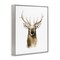Stupell Industries Deer Portrait Watercolor Framed Giclee Art